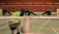 Goalball