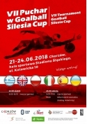 VII Silesia Cup